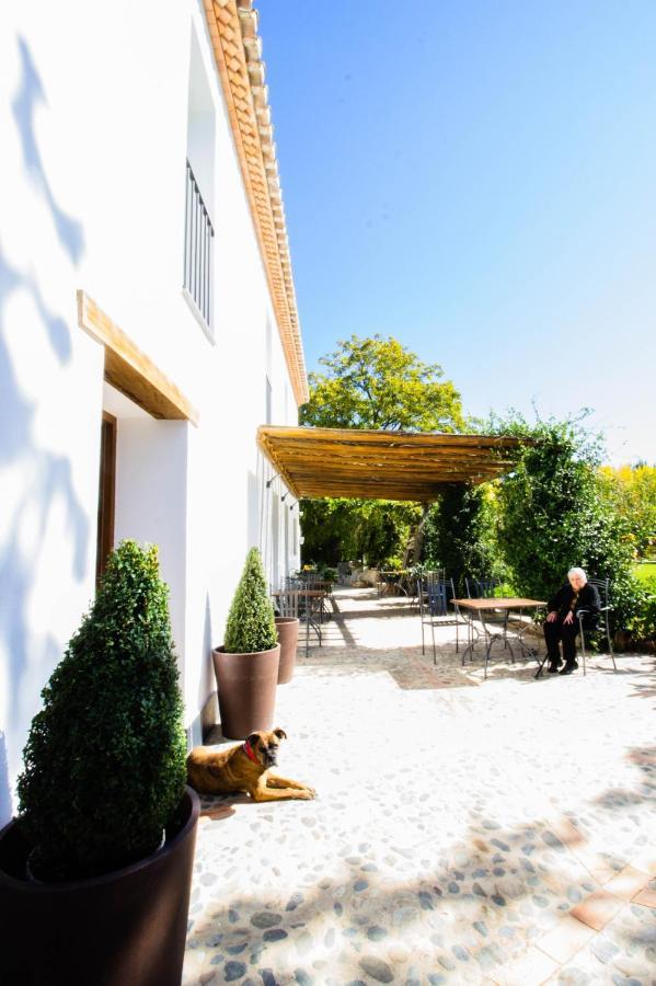 Molino Candeal Hotel Boutique & Apartamentos Caniles Εξωτερικό φωτογραφία