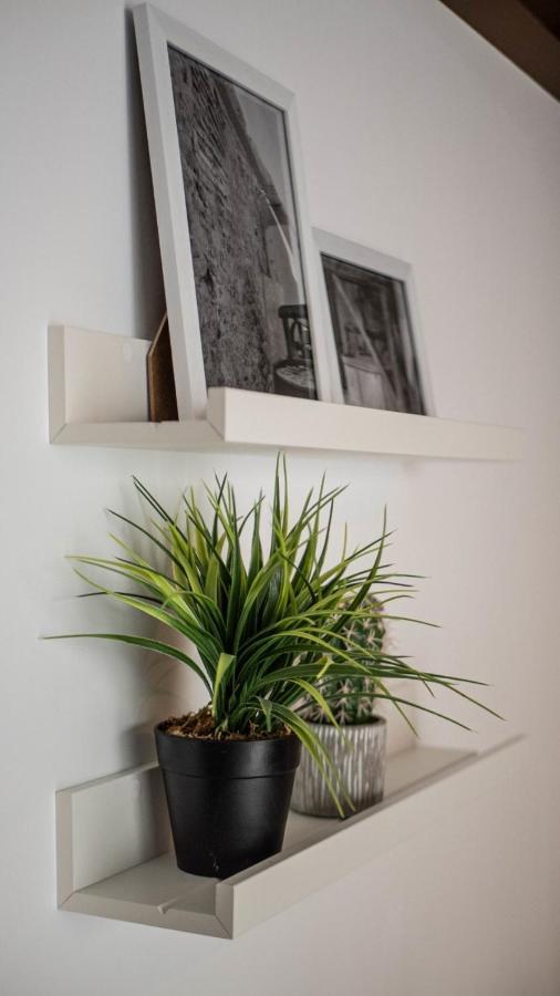 Molino Candeal Hotel Boutique & Apartamentos Caniles Εξωτερικό φωτογραφία
