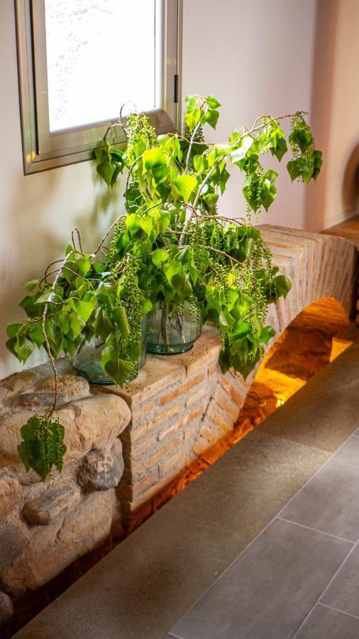 Molino Candeal Hotel Boutique & Apartamentos Caniles Εξωτερικό φωτογραφία